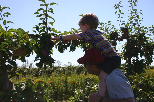 Click for original image 363k 1229x819